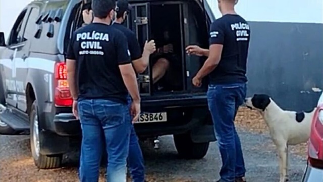 Bebê desenterrado por pitbull foi esquartejado pela mãe