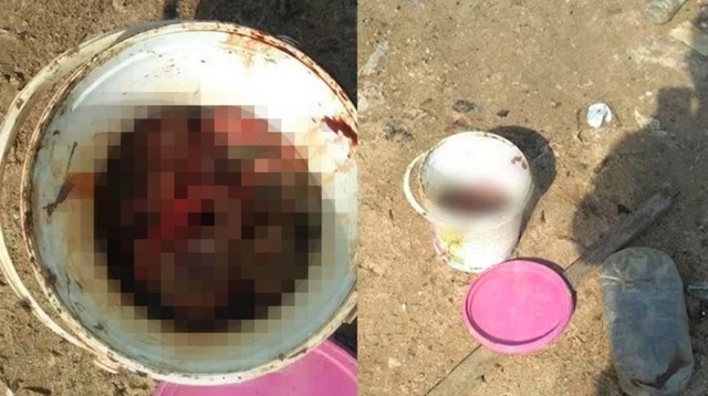 Dois fetos são encontrados dentro de balde em praia de Manaus