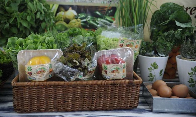Pesquisa revela que 14% da população do Brasil se considera vegetariana
