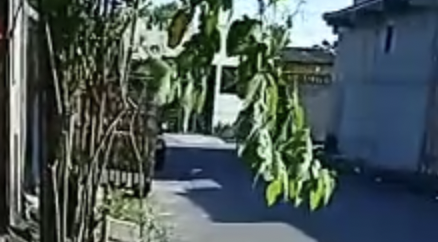 ‘Vulgo Neto’ é executado a tiros na Zona Norte de Manaus